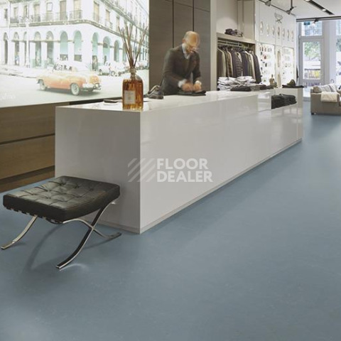 Forbo Marmoleum Decibel on Order 373135 flux фото 3 | FLOORDEALER